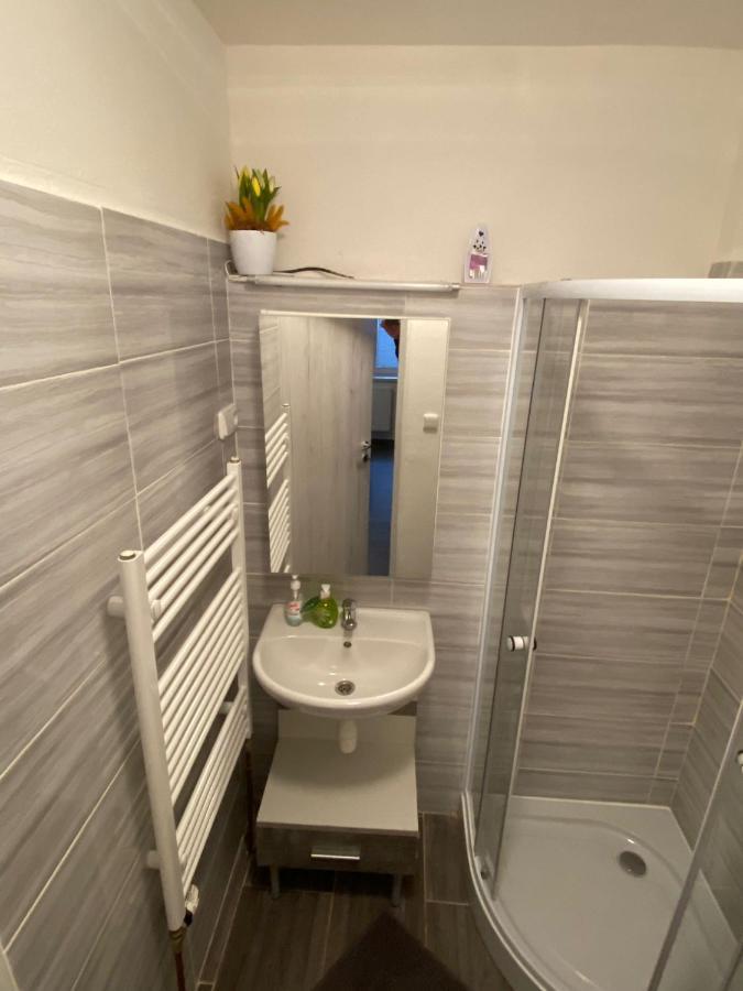 Český Krumlov Apartmany Rybnik מראה חיצוני תמונה